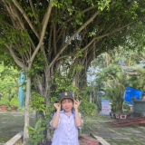 D. H. T. Ngoc