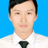 H. N. Nguyen