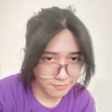 P. T. Đỗ