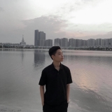 N. Q. Minh