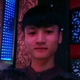 D. T. Phi
