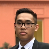 V. N. An