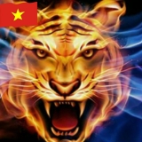 N. K. Ho&agrave;n