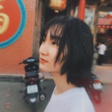 L. N. Hạ Vy