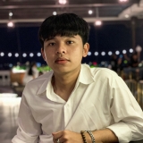 N. H. Nguyễn