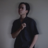 P. N. Hồ