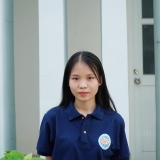 N. T. Thảo