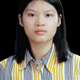 T. N. Nguyễn