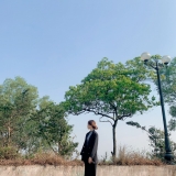 N. Thảo