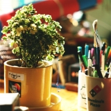 H. Studio