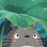 K. V. Đ. Nguyễn