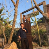 L. V. Quyết