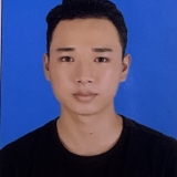 N. C. Luận