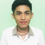 N. L. Sơn