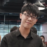 N. N. Ho&agrave;ng