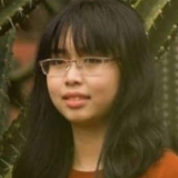 N. T. Linh