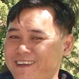 L. S. Viet