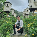 P. Designer