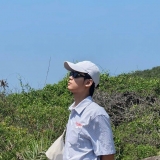 T. Vn