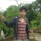 L. T. T&ugrave;ng