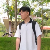 N. Thế Phan