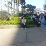 Q. T. Linh