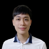 D. P. A. Ninh