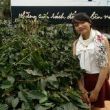 N. T. D. Kiều
