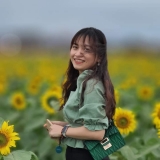 D. T. M. Hiếu