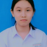 T. N. L&ecirc;