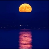 J. Moon