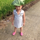 T. H. Hiệu