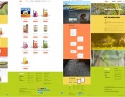 H&igrave;nh hồ sơ năng lực web Hoa Nang.png