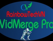 vidmerge.png