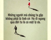 van_su_tuy_duyen3.jpg