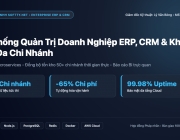 portfolio_vn_1_erp.png