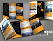 PHOI CANH TRIFOLD 3.jpg