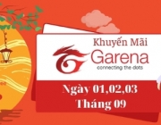 Garena T9.jpg