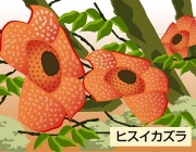 58f606f65c02d8943ae8a719f1a053c7.jpg