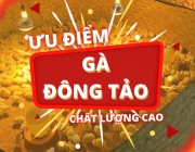 Ưu điểm vượt trội.png