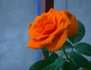 2014_11_19_07_38_13_OneShot.jpg