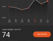 06-03-Progress-Weight.jpg