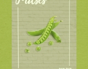 Dietxtopic1xpulses.png