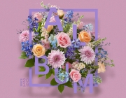 FloralTypography.jpg