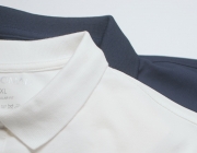 Ao POLO.png