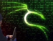 hacker quan.jpg