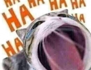 received_1084219132482748.jpeg