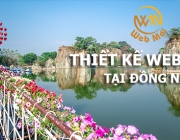 thiet-ke-website-tai-dong-nai.png