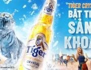 Tiger_Recap Thumb_1600x900.png
