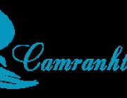 logo.png